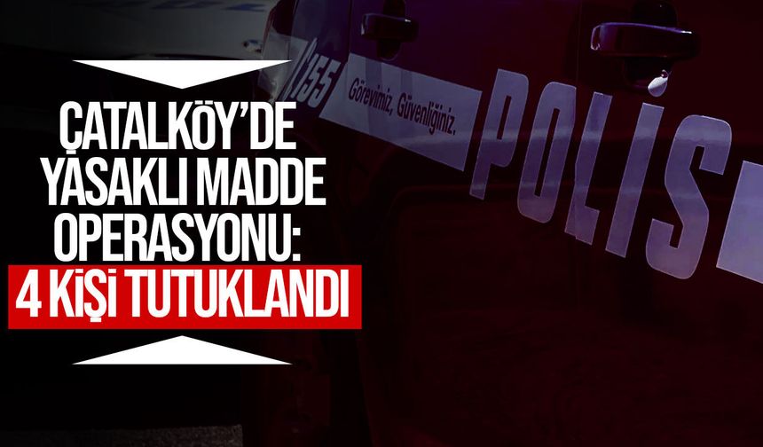 Çatalköy'de satışa hazır halde yasaklı madde ele geçirildi!
