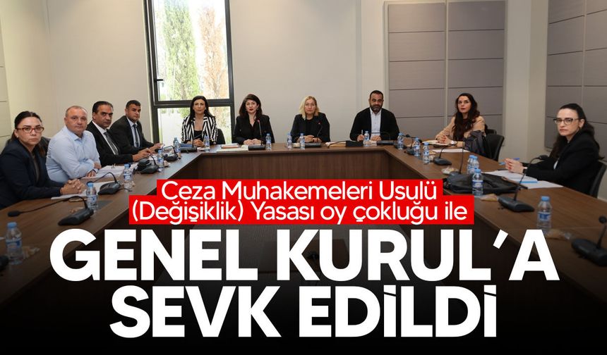 Ceza Muhakemeleri Yasası komiteden geçti