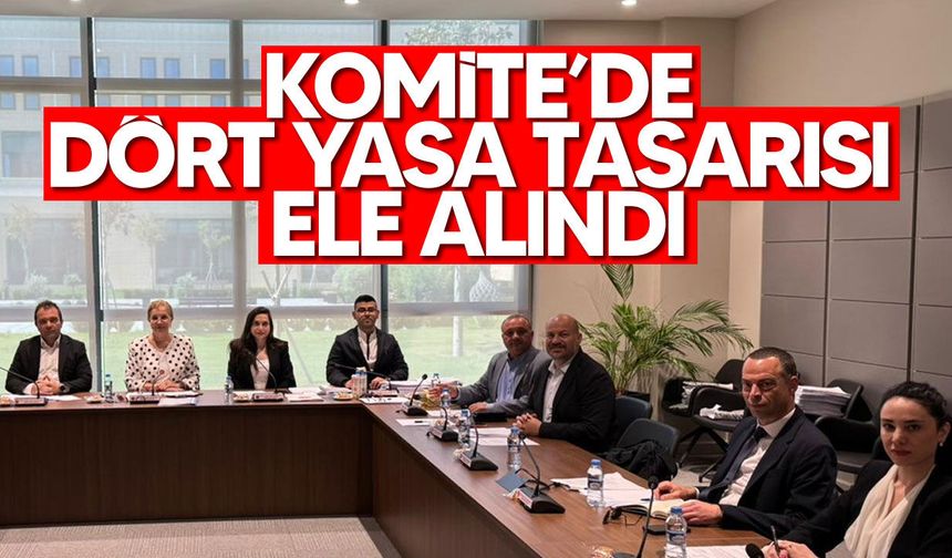 Ekonomi Komitesi muhaceret ve yurttaşlık yasa tasarılarını görüştü