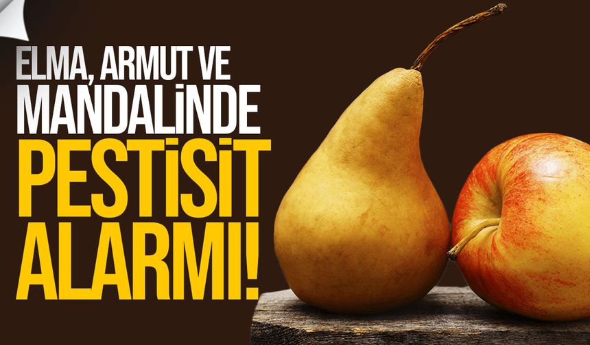 Elma, armut ve mandalinde pestisit alarmı