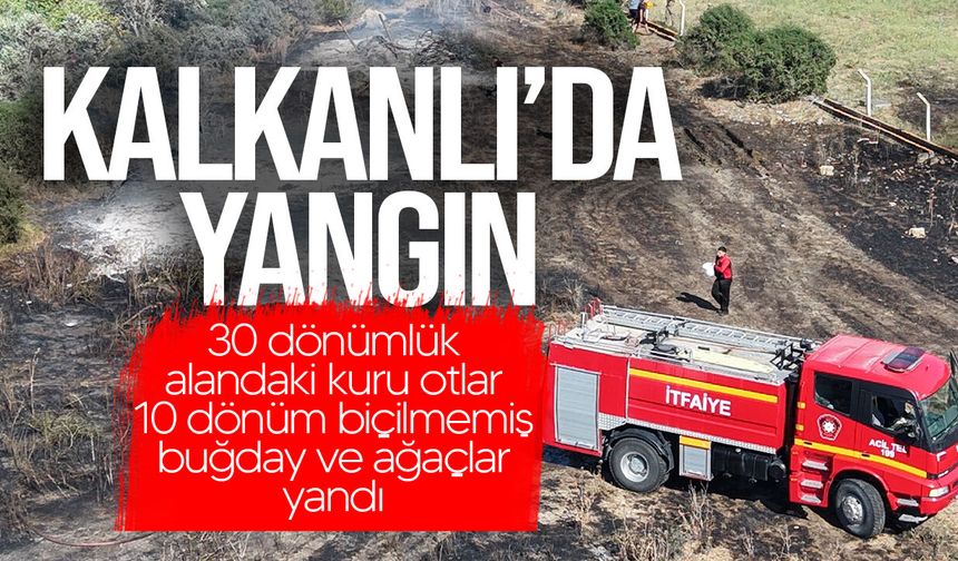 Güzelyurt - Kalkanlı’da yangın