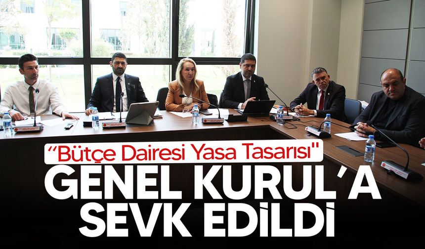İdari, Kamu ve Sağlık İşleri Komitesi, 3 tasarıyı görüştü