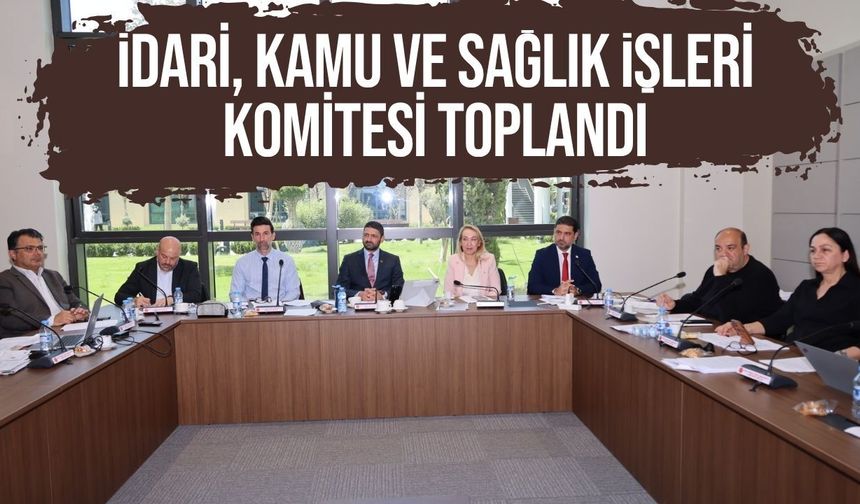 KTÖS yetkili ve temsilciler katılarak konu ile ilgili görüşlerini komiteye sundu