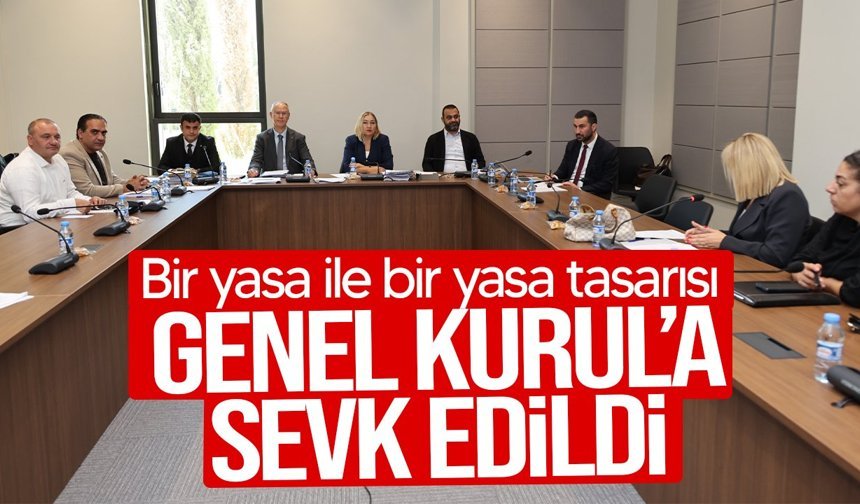 İki yasa tasarısı komiteden geçti