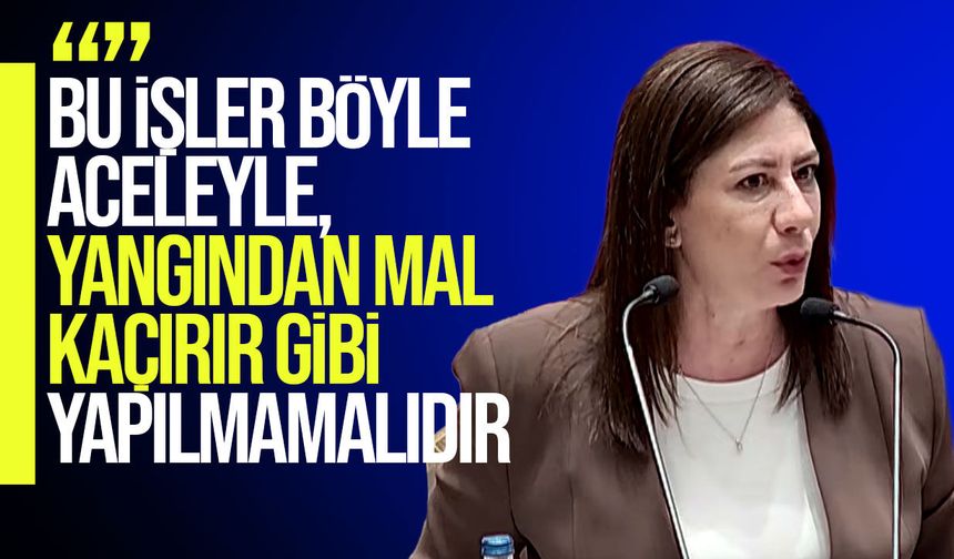 Sıla Usar İncirli’den Meclis’te komite çalışmasına tepki