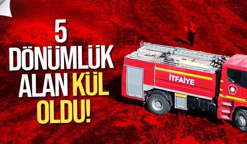 Sınırüstü’nde izinsiz yakılan ateş 5 dönümü kül etti