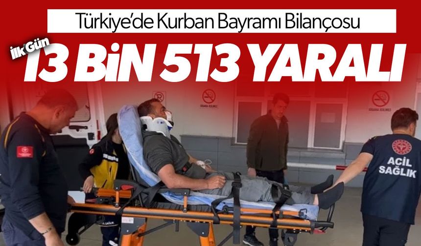 Türkiye’de kurban kesimi sırasında 13 bin 513 kişi hastanelik oldu