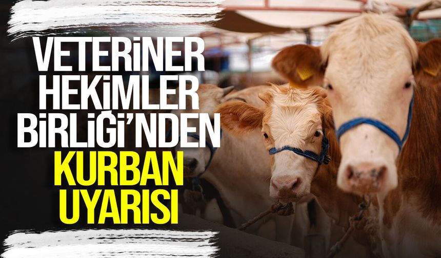 Veteriner Hekimler Birliği’nden kurban uyarısı