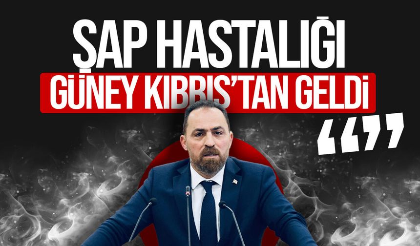 Çavuş: "70 bin büyükbaş ve 400 bin küçükbaş hayvan aşılandı"