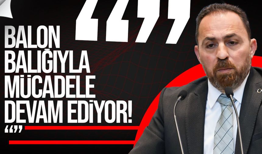 Çavuş: “Narenciye Ödemeleri Hasadın Tamamlanmasının Ardından Başlayacak”