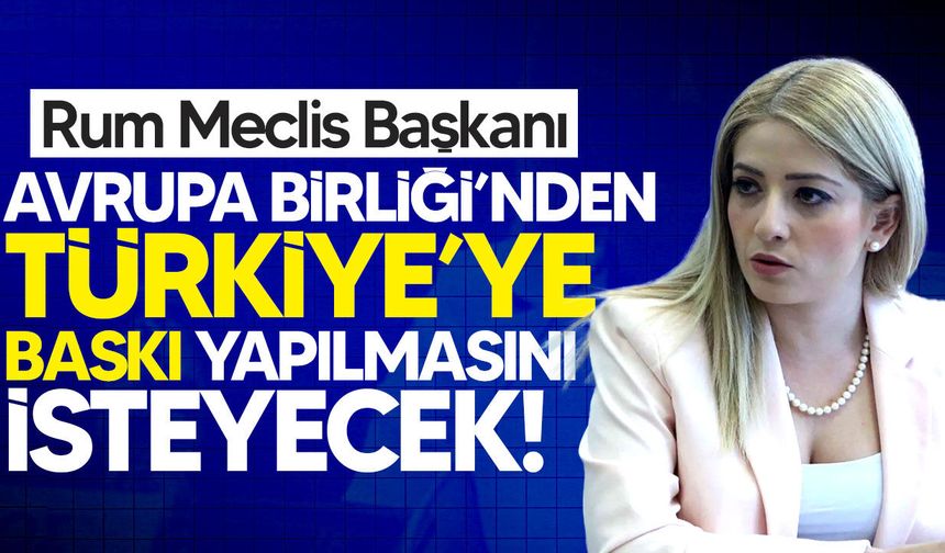 Dimitriu, AB’den Türkiye’ye baskı yapılmasını isteyecek