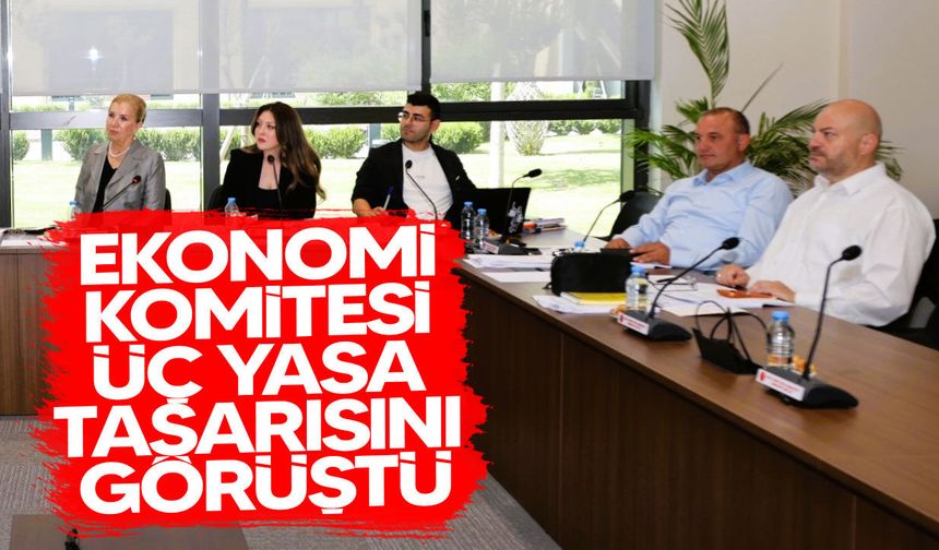 Ekonomi Komitesi üç yasa tasarısını görüştü