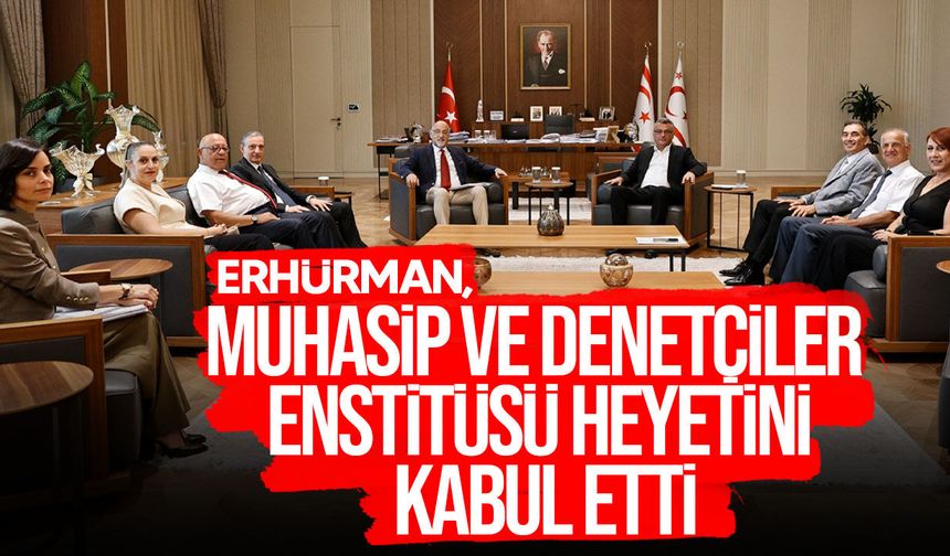 Erhürman, Muhasip ve Denetçiler Enstitüsü Heyetini Kabul Etti