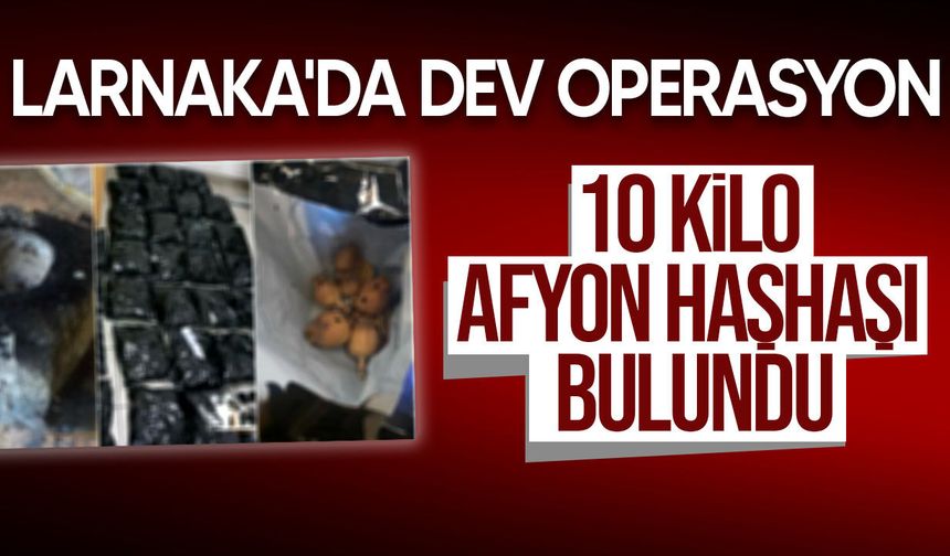 Güney Kıbrıs’ta İlk: 10 Kilodan Fazla Afyon Haşhaşı Ele Geçirildi