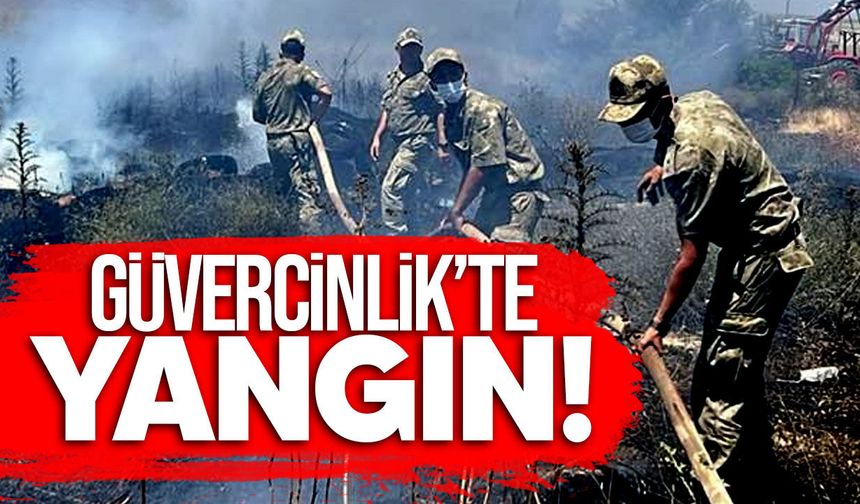 Güvercinlik'teki yangın 55 dakikada kontrol altına alındı