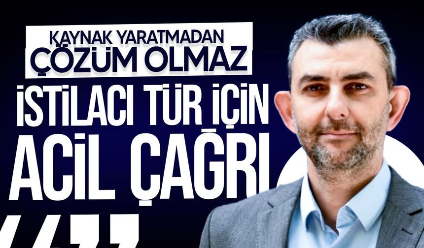 HP’den Balon Balığı Çağrısı: Mücadele İçin Fon Oluşturulsun