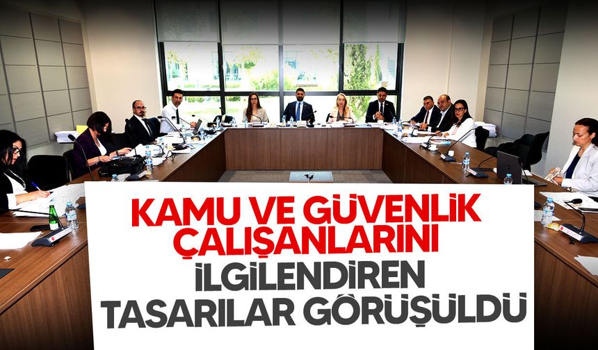 İdari, Kamu ve Sağlık İşleri Komitesi İki Yasa Tasarısını Görüştü