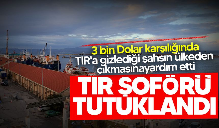 3 bin Dolar karşılığında TIR'a gizlediği şahsın ülkeden çıkmasına yardım etti, tutuklandı