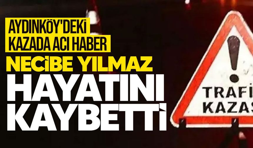 Aydınköy'deki kazada acı haber: 85 yaşındaki kadın yaşamını yitirdi