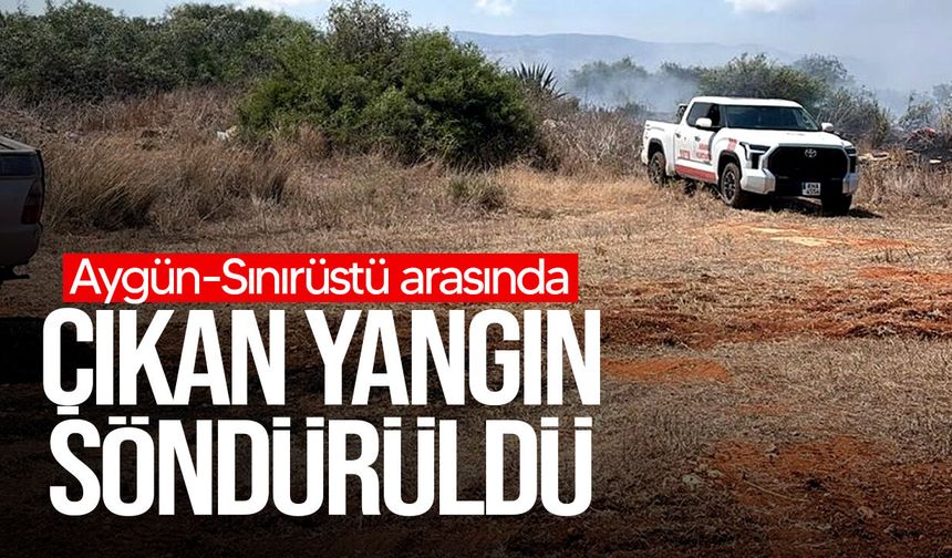 Aygün-Sınırüstü arasında çıkan yangın söndürüldü