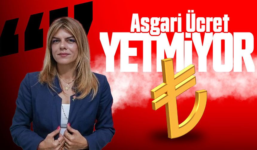 Ayşe Öztabay: Asgari ücret insanca yaşamı karşılamıyor