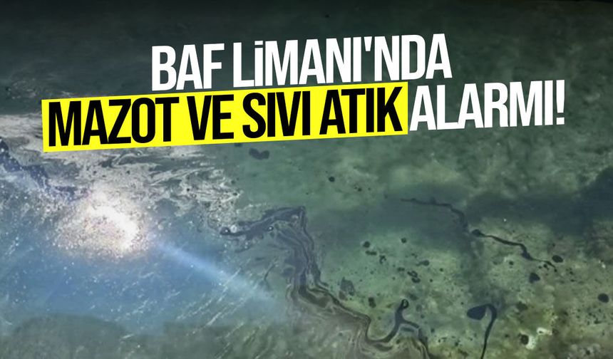 Baf Limanı'nda Mazot ve Sıvı Atık Alarmı
