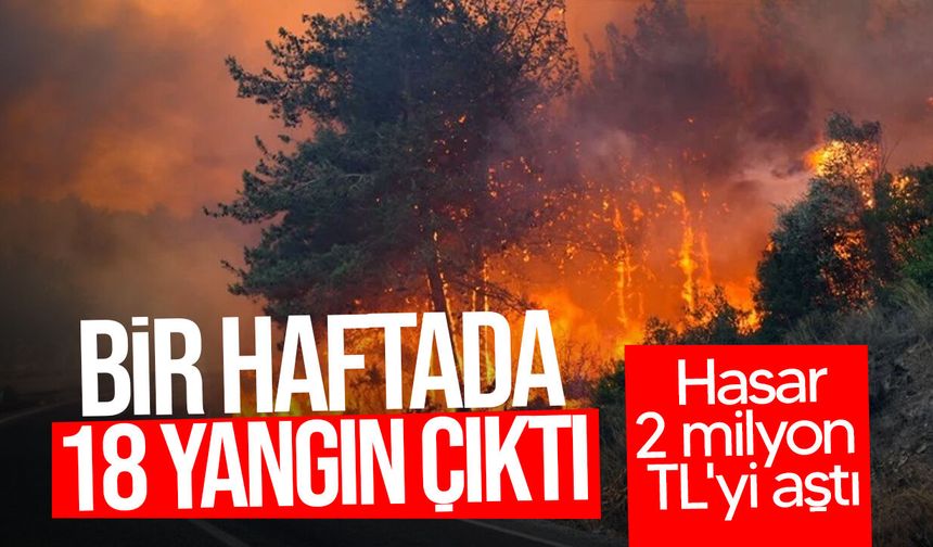 Bir haftada 18 yangın çıktı