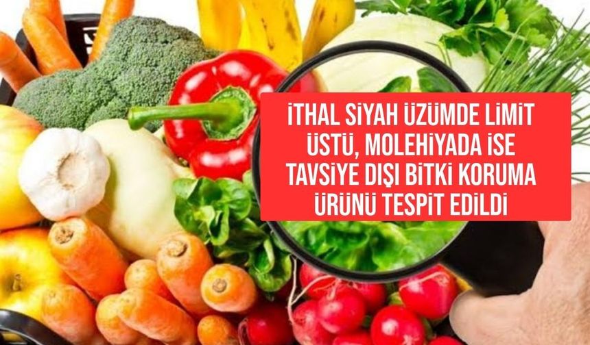 Tarım Dairesi, gıda denetim sonuçlarını açıkladı