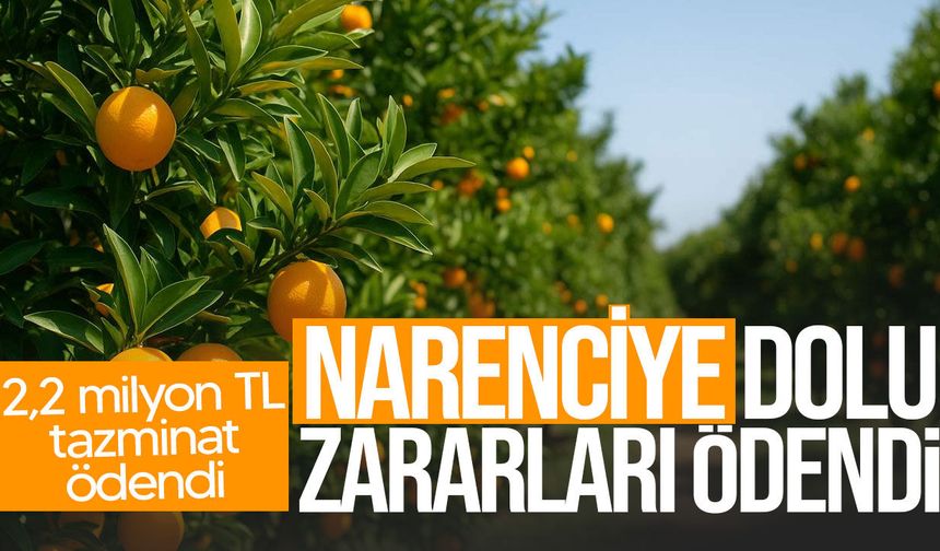 Doludan zarar gören narenciye üreticilerine 2,2 milyon TL tazminat ödendi