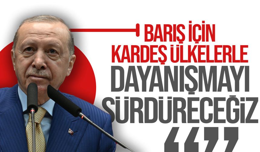 Erdoğan: "Pakistan başta olmak üzere kardeş ülkelerle dayanışmayı sürdüreceğiz"