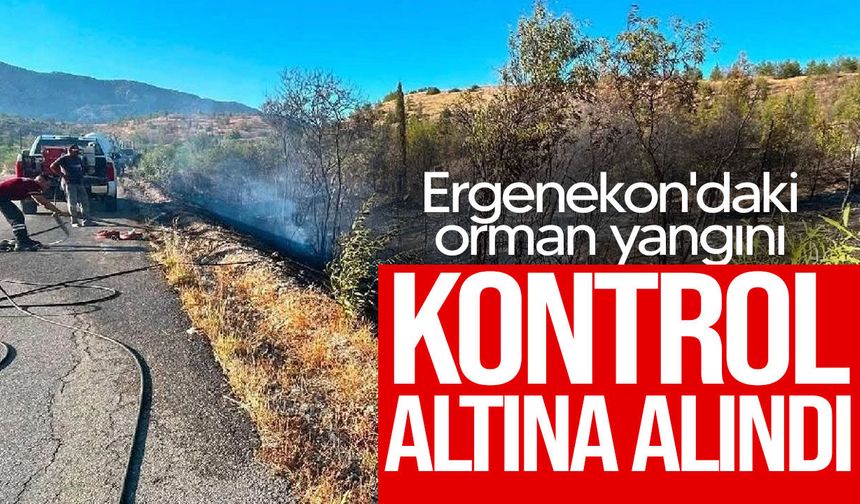 Ergenekon'daki orman yangını kontrol altına alındı