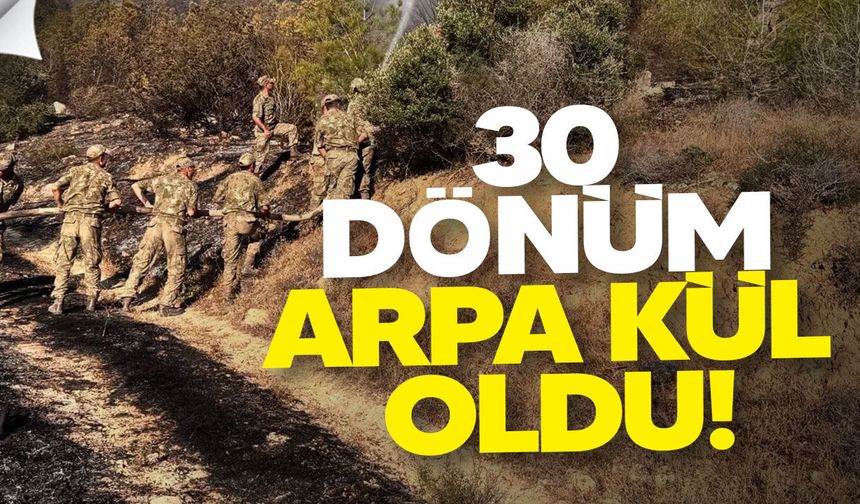 Geçitkale Sütlüce yolunda tarla yangını: 30 dönüm arpa kül oldu