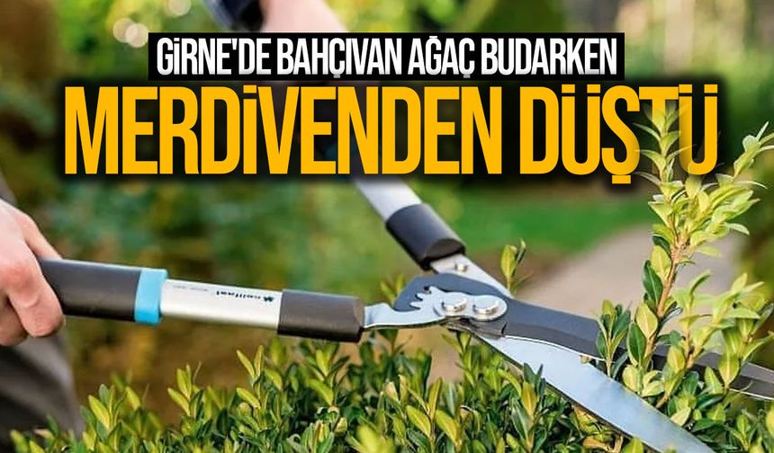 Girne'de bahçıvan ağaç budarken merdivenden düştü