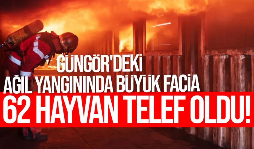 Güngör'deki ağıl yangınında büyük facia: 62 hayvan telef oldu
