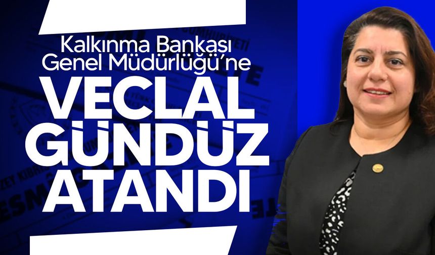 Kalkınma Bankası Genel Müdürlüğü'ne Veclal Gündüz Atandı