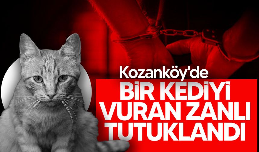 Kozanköy'de kediyi tüfekle vuran zanlı tutuklandı
