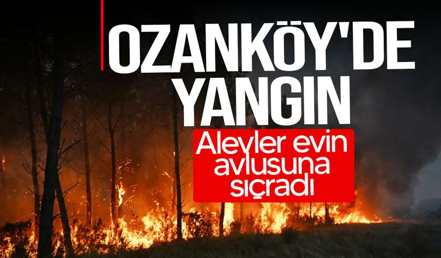 Ozanköy'de yangın