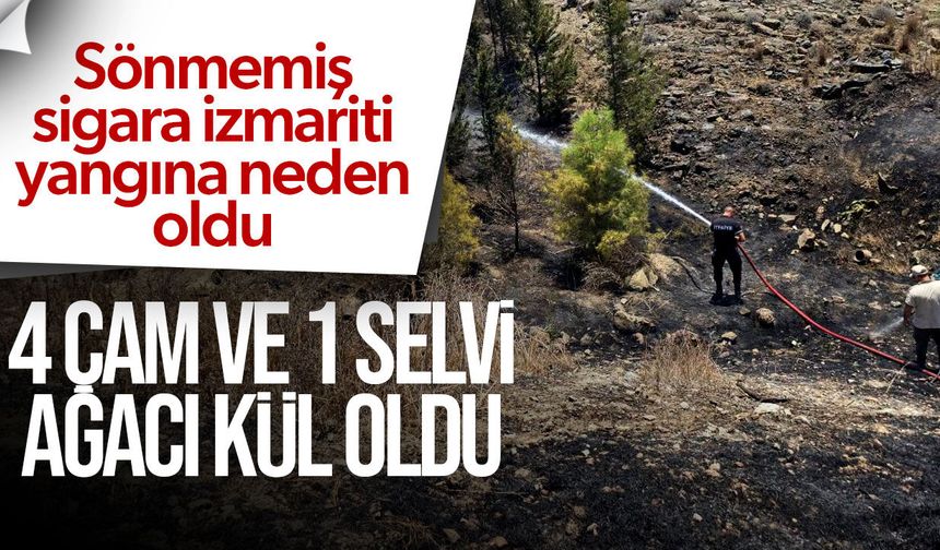 Sönmemiş sigara izmariti yangına neden oldu: 1 dönümlük alan zarar gördü