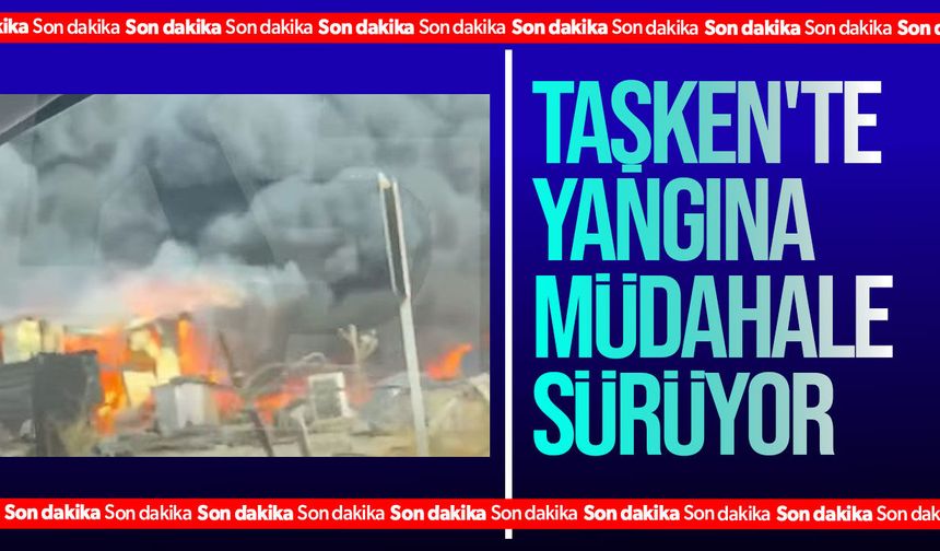 Taşkent'te hurdalık alanda çıkan yangına itfaiye ve ekiplerin müdahalesi sürüyor