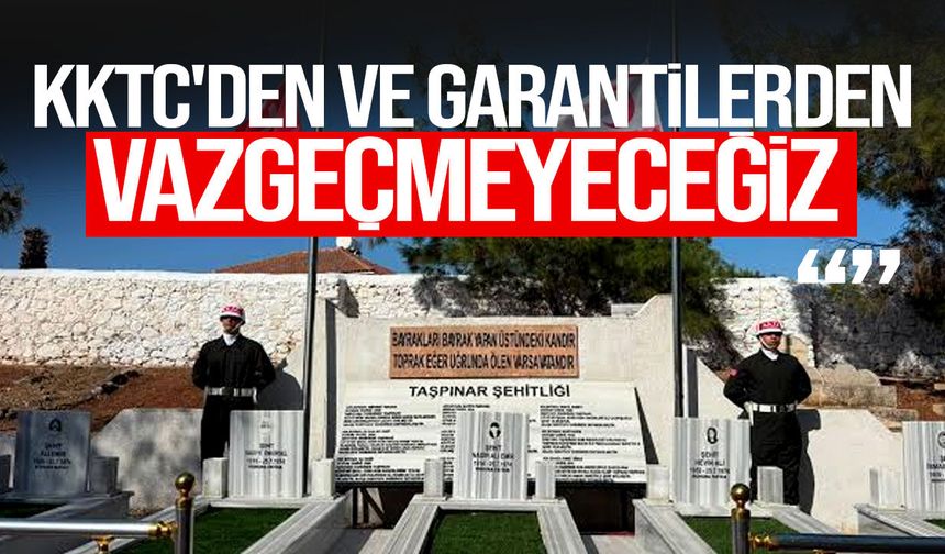 Taşpınar şehitleri düzenlenen törenle anıldı