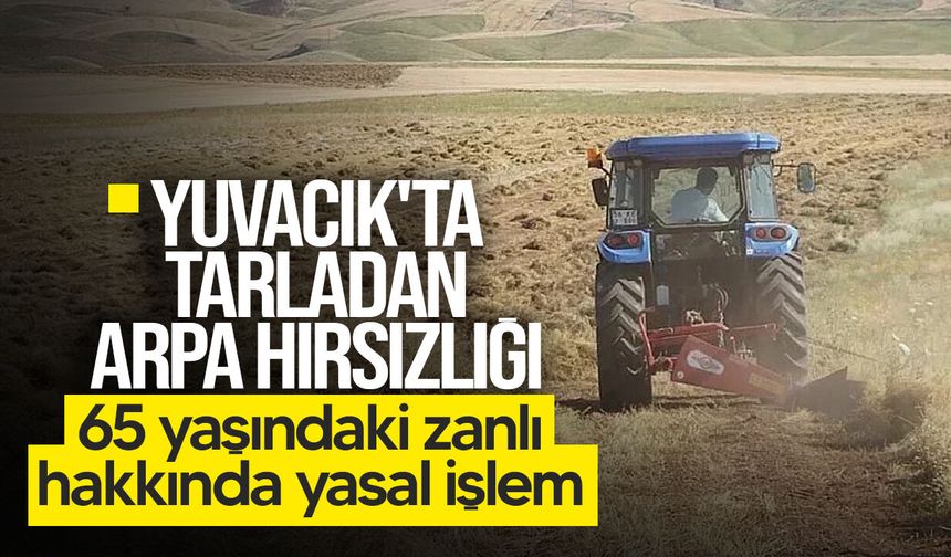 Yuvacık'ta tarladan arpa hırsızlığı