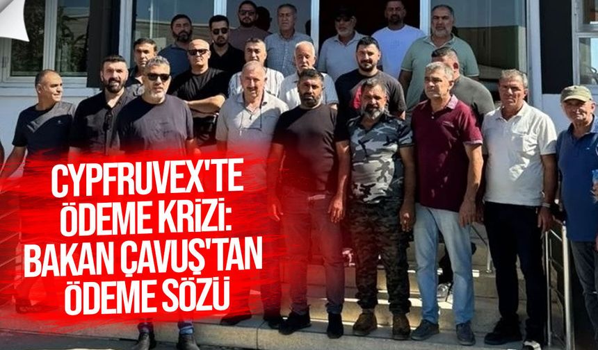 Cypfruvex'te ödeme krizi: Bakan Çavuş'tan kontraktörlere ödeme sözü