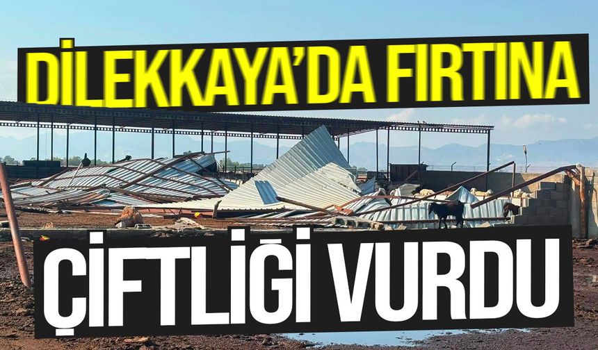 Dilekkaya’da fırtına çiftliği vurdu: Büyük çapta hasar oluştu
