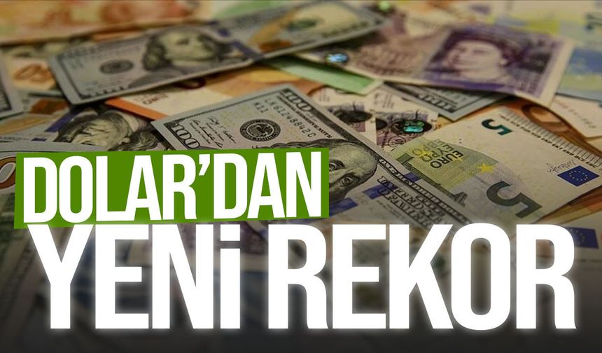 Dolar rekor tazeledi!