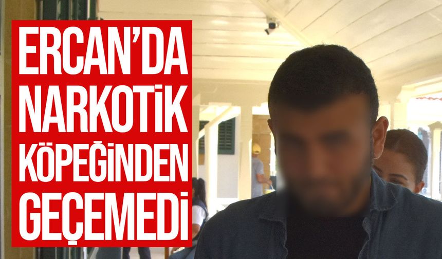 Ercan’da Narkotik Köpeği Pamir Valizine Tepki Verdi