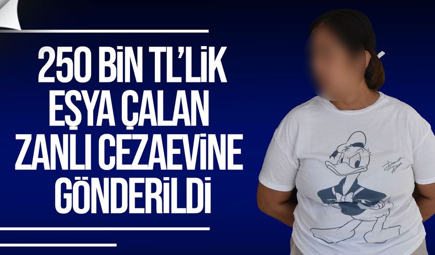 Gönyeli’de çalıştığı evlerden 250 bin TL’lik eşya çalan zanlı cezaevine gönderildi