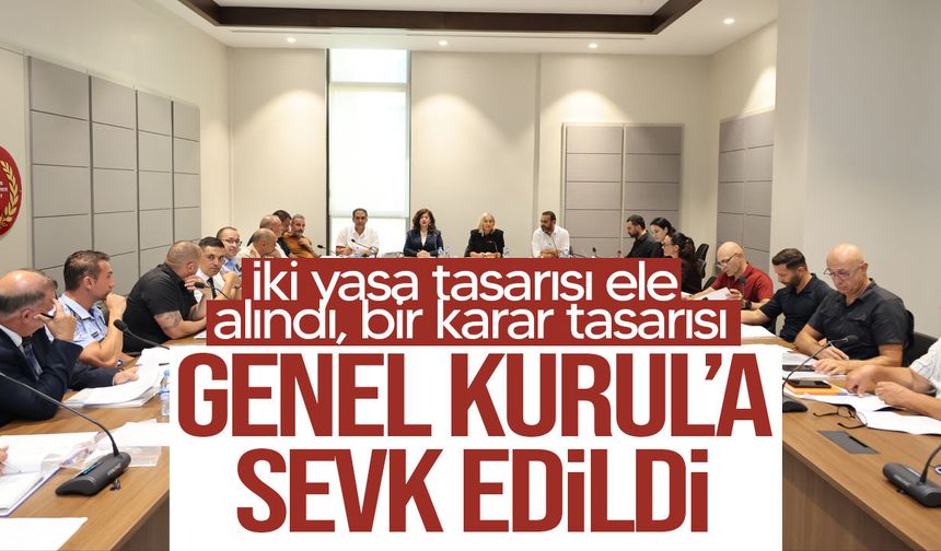 Hukuk Komitesi’nde iki yasa tasarısı ele alındı, bir karar tasarısı ise Genel Kurul’a sevk edildi