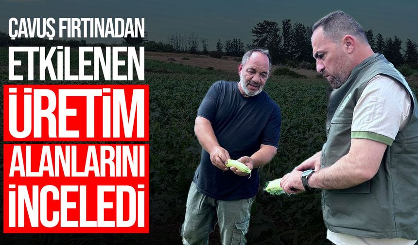 Hüseyin Çavuş Güneşköy ve Aydınköy’de fırtına hasarını inceledi