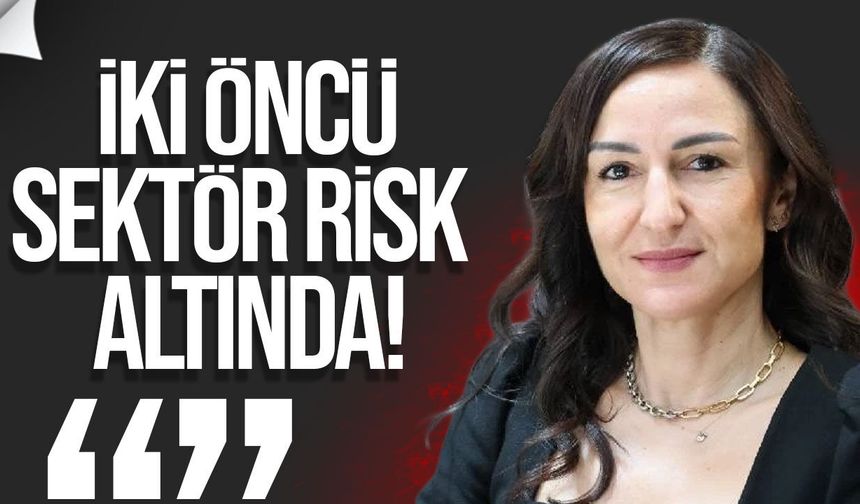 Jale Refik Rogers: Denetimsizlik yükseköğretim ve sağlık turizmini riske atıyor
