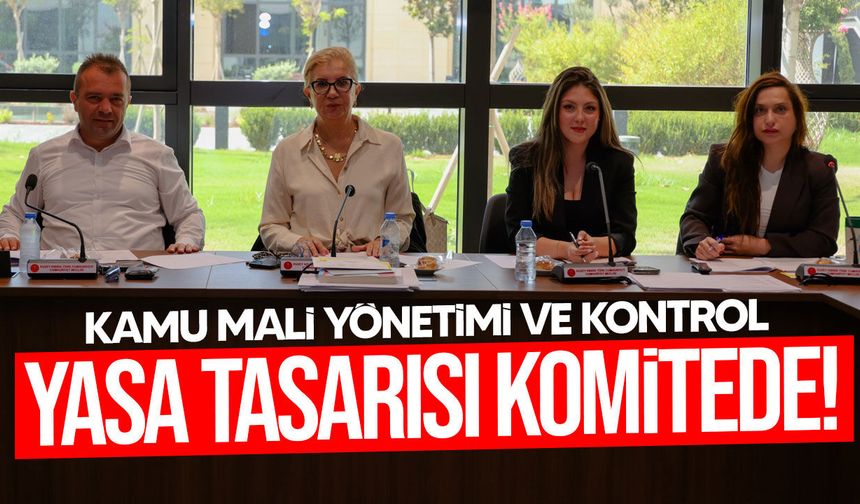 Kamu Mali Yönetimi ve Kontrol Yasa Tasarısı komitede görüşüldü